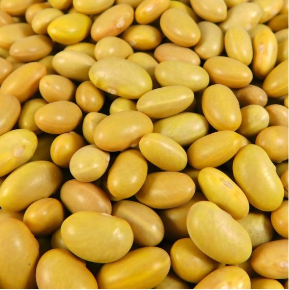 FRIJOL PERUANO